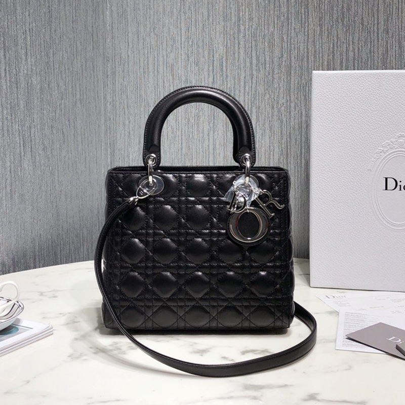 Dior The LADY D-LITE Bag