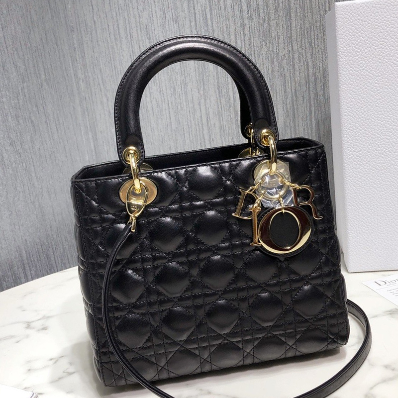 Dior The LADY D-LITE Bag