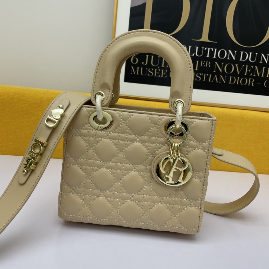 Dior The LADY D-LITE Bag