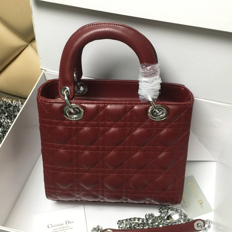Dior The LADY D-LITE Bag