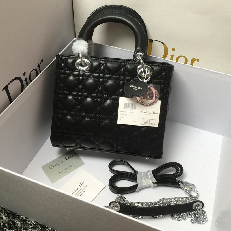 Dior The LADY D-LITE Bag