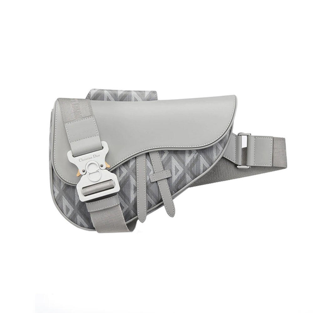 Dior saddle Bag