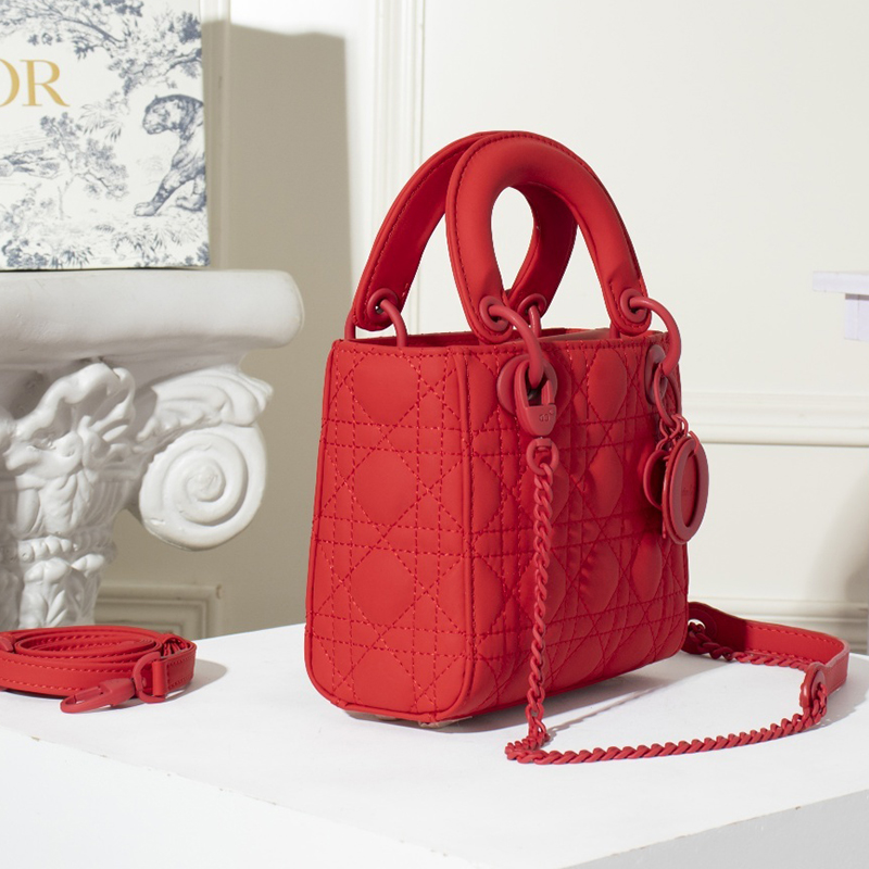 Dior The LADY D-LITE Bag