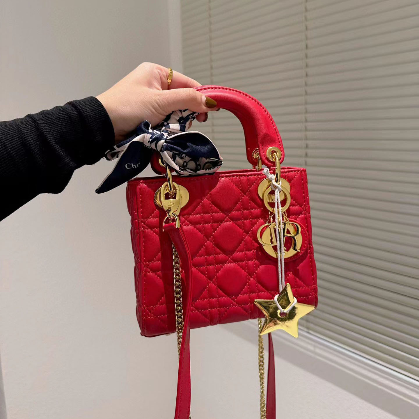 Dior  Mini Lady Bag-