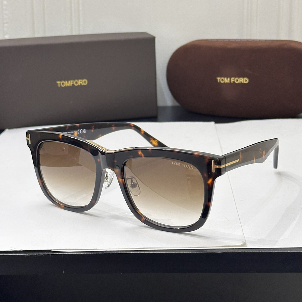 Tom Ford Gradient Clear Sunglasses