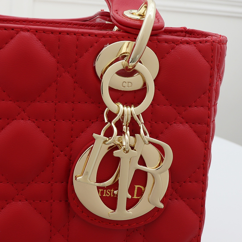 Dior The LADY D-LITE Bag