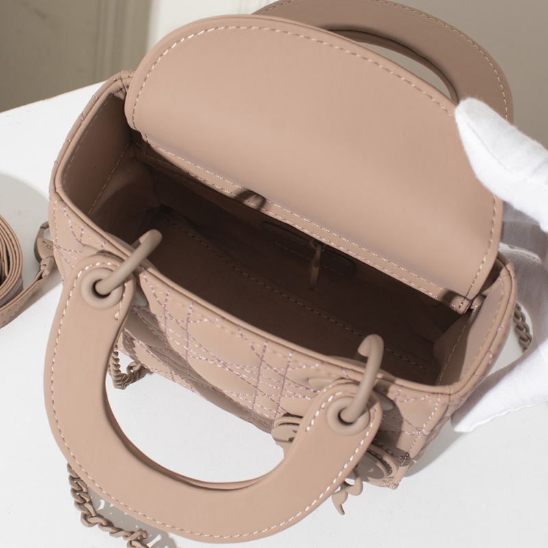 Dior The LADY D-LITE Bag