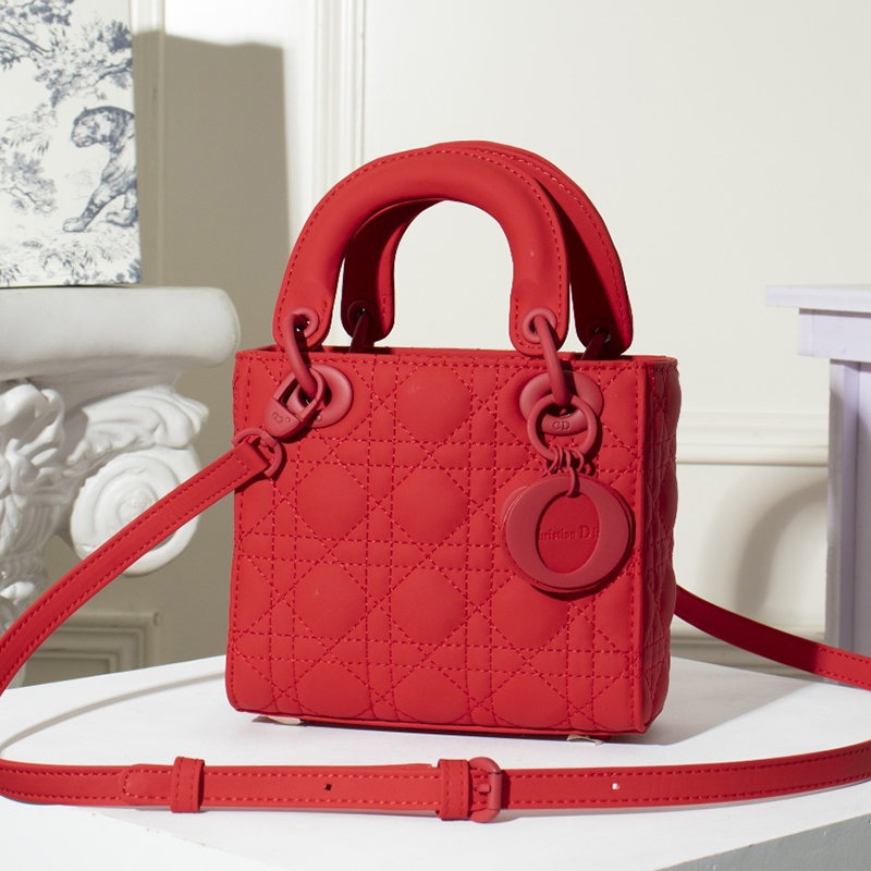 Dior The LADY D-LITE Bag