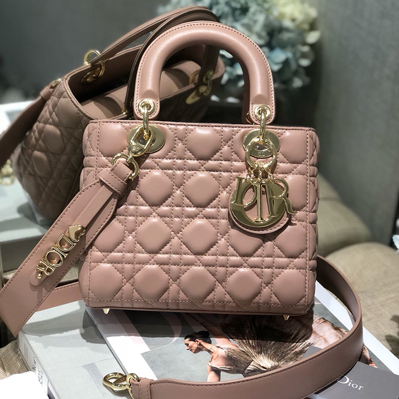 Dior The LADY D-LITE Bag