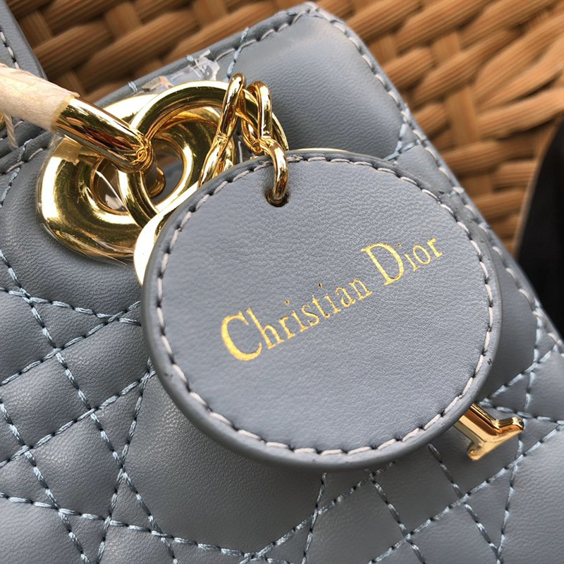 Dior The LADY D-LITE Bag