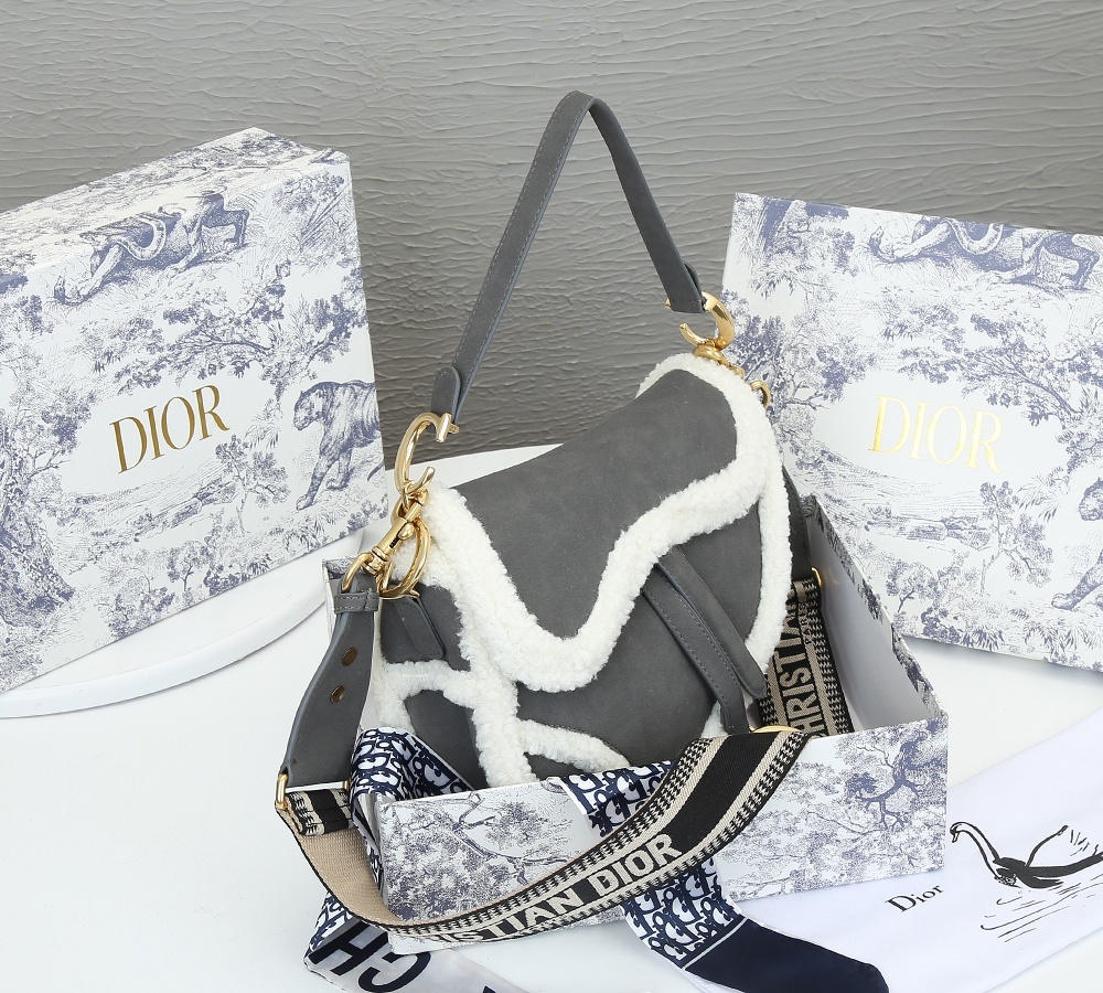 Dior SADDLE Bag