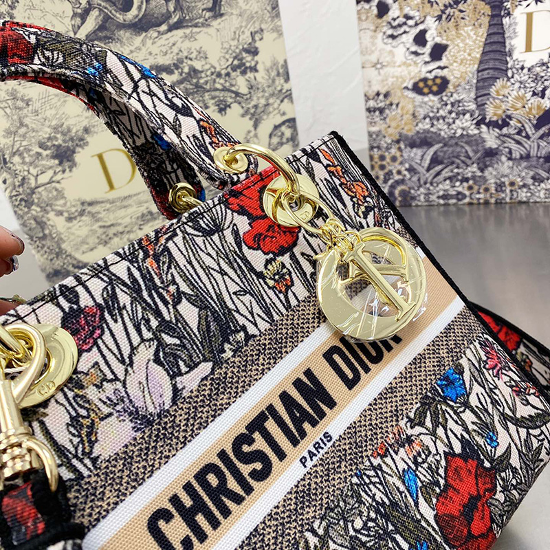 Dior The LADY D-LITE Bag