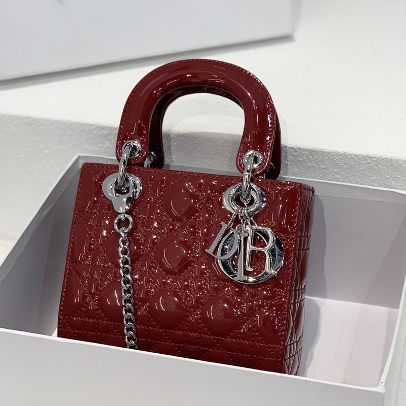 Dior The LADY D-LITE Bag
