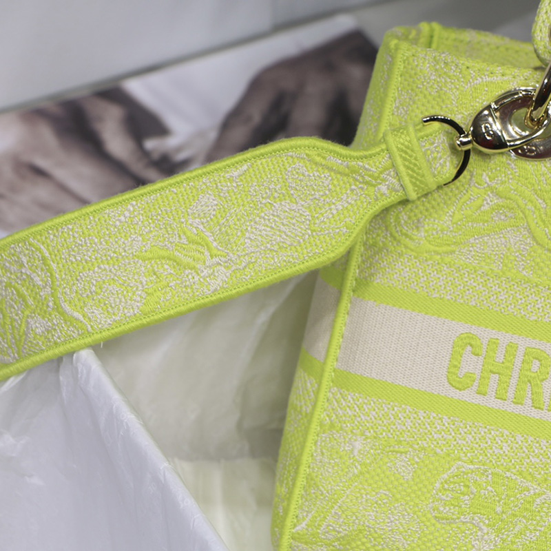 Dior The LADY D-LITE Bag Lime Toile de Jouy Reverse Embroidery M0565ORGO_M60E