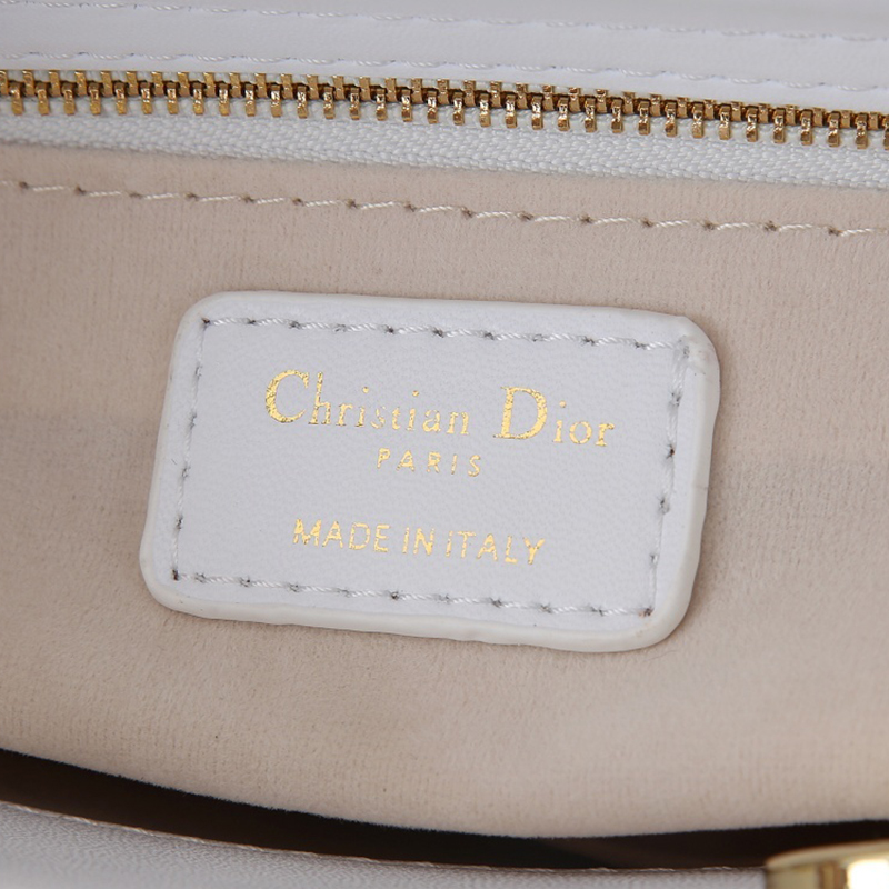 Dior The LADY D-LITE Bag