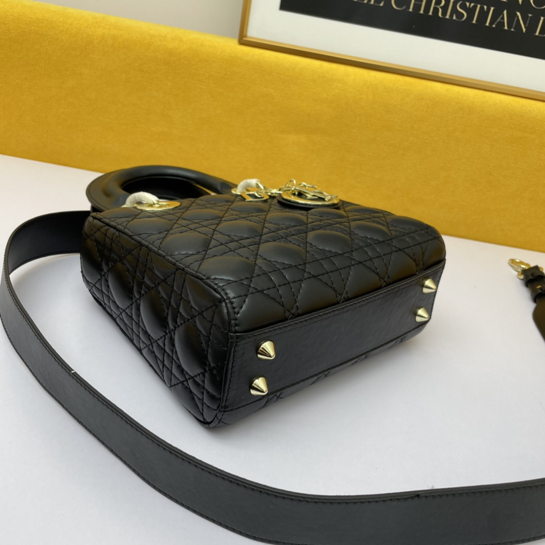 Dior The LADY D-LITE Bag