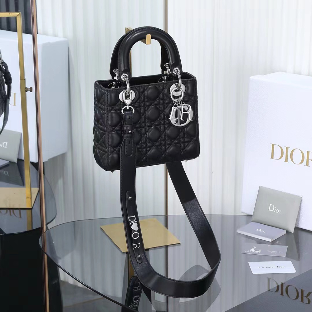 DIOR Lady Dior Bag