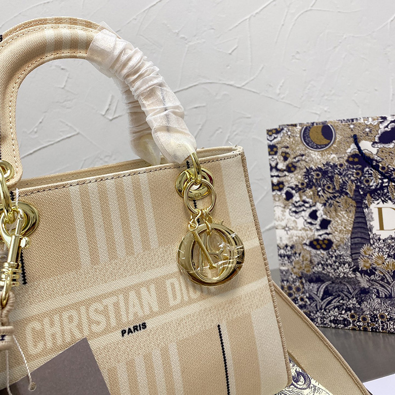 Dior The LADY D-LITE Bag