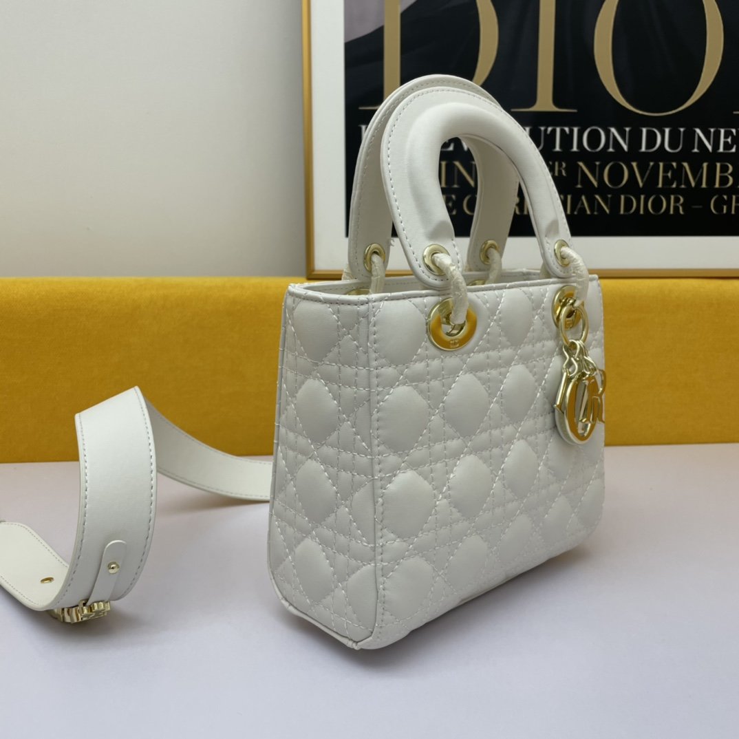 Dior The LADY D-LITE Bag