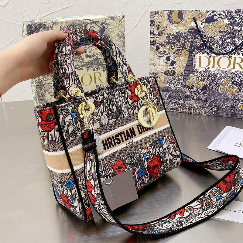 Dior The LADY D-LITE Bag