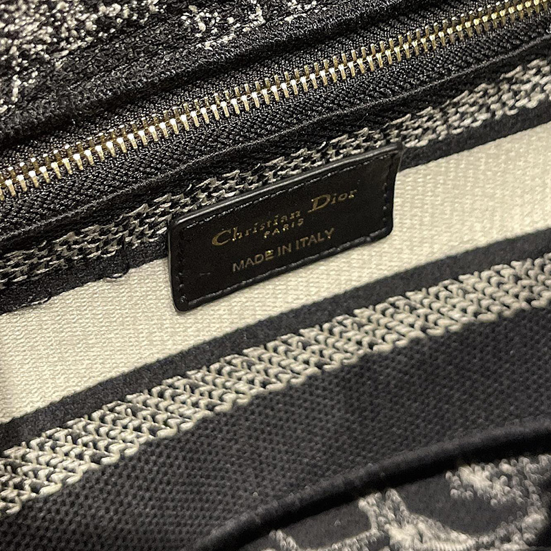 Dior The LADY D-LITE Bag Blue Toile de Jouy Reverse Embroidery M0565ORGO_M928