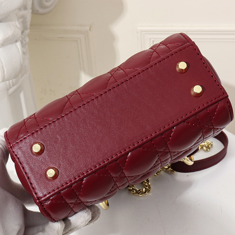 Dior The LADY D-LITE Bag