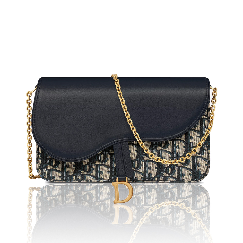 Dior Saddle Chain Bag