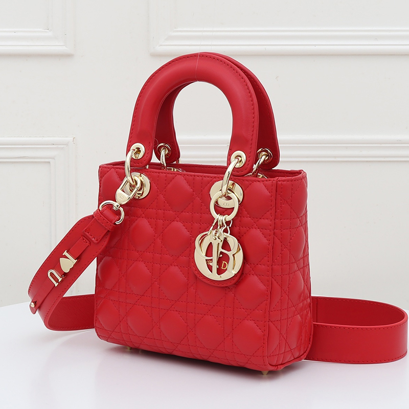 Dior The LADY D-LITE Bag