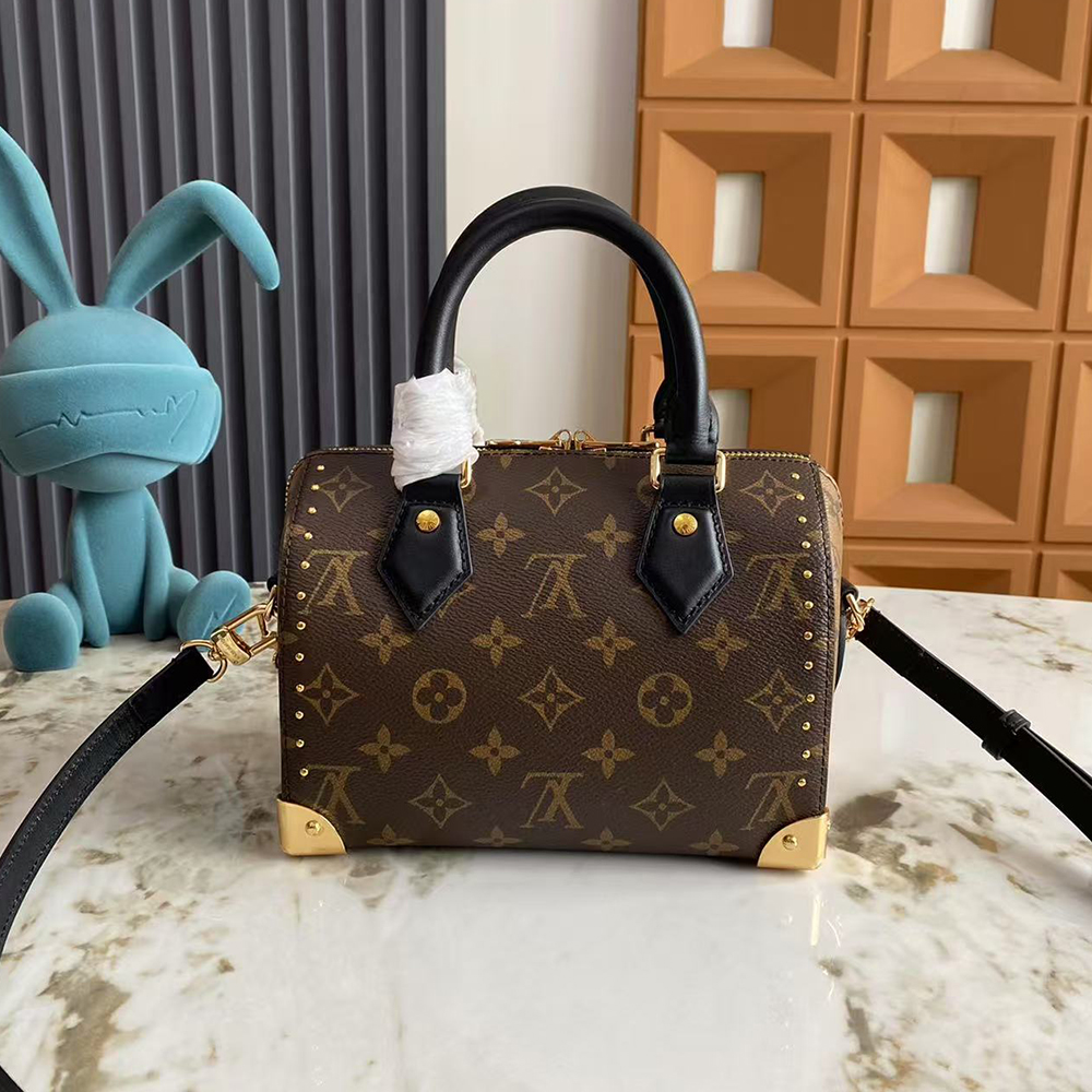 Louis Vuitton Speedy Trunk 20 Bag