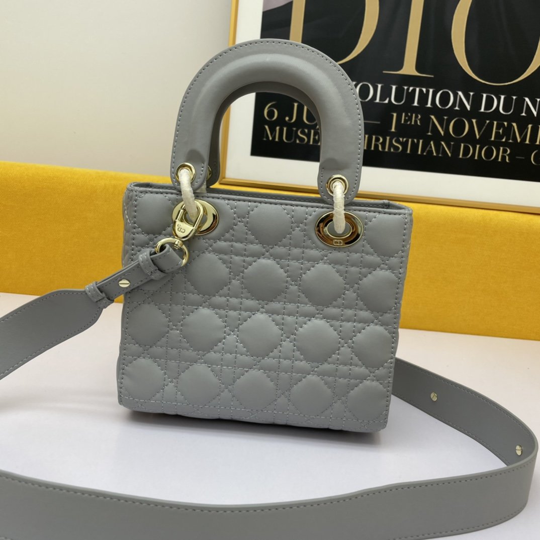 Dior The LADY D-LITE Bag