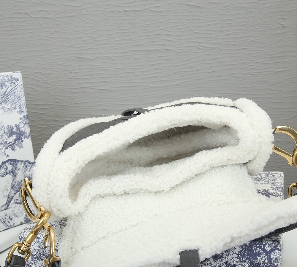 Dior SADDLE Bag