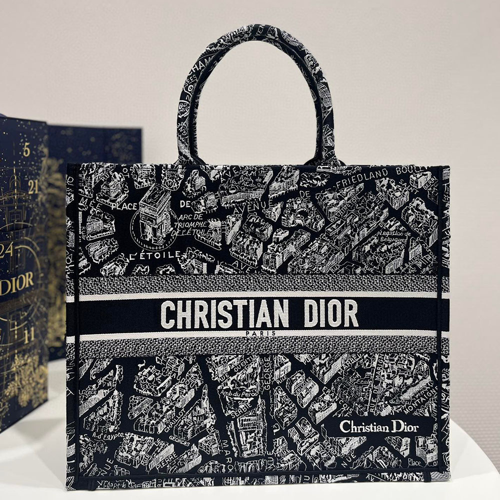 DIOR Book Tote Paris Map Bags
