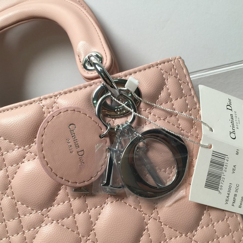Dior The LADY D-LITE Bag