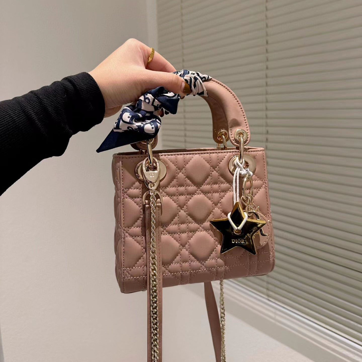 Dior  Mini Lady Bag-