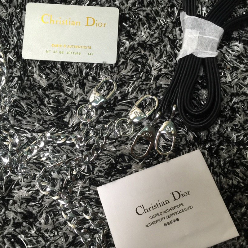 Dior The LADY D-LITE Bag