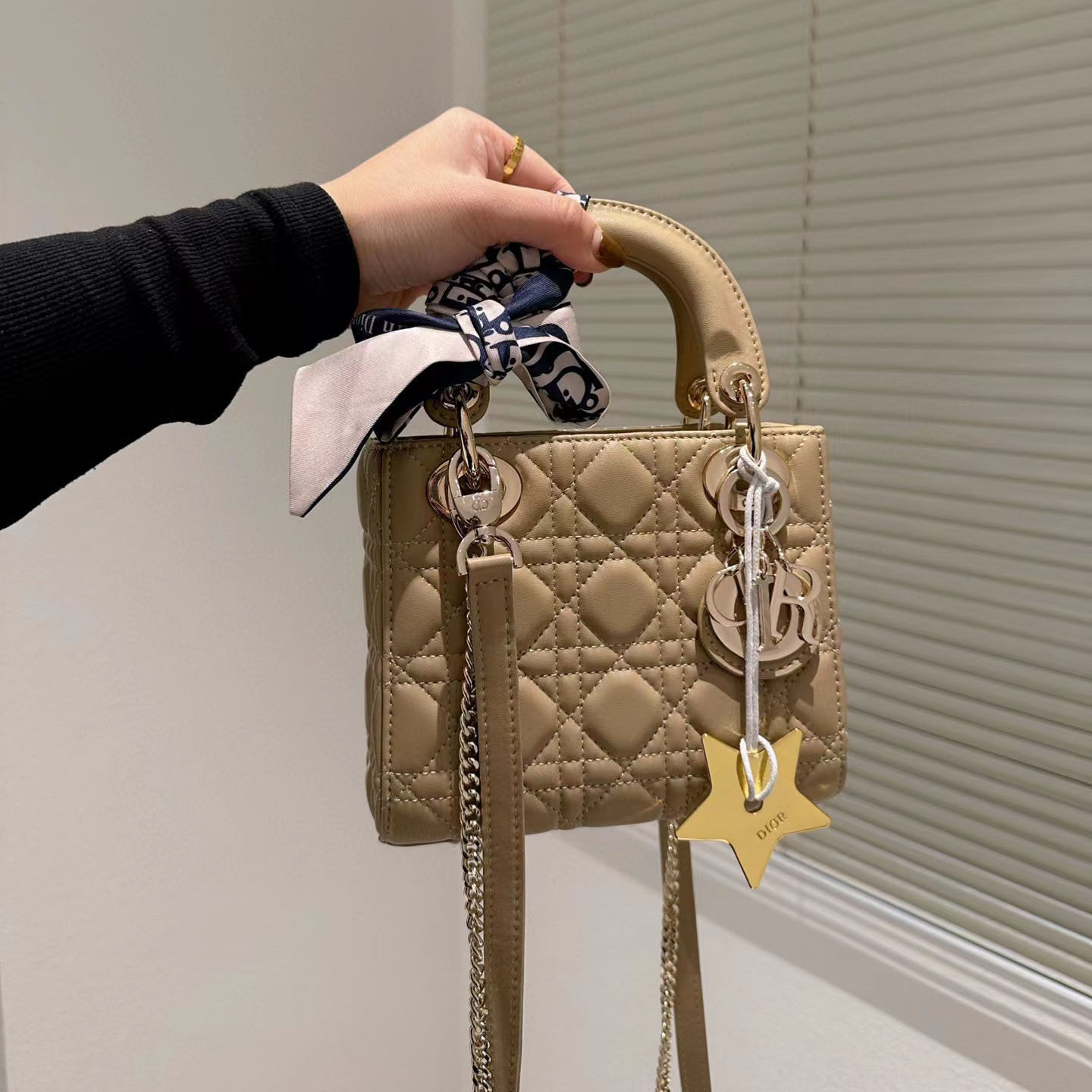 Dior  Mini Lady Bag-