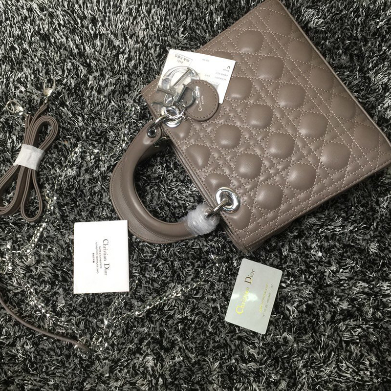 Dior The LADY D-LITE Bag