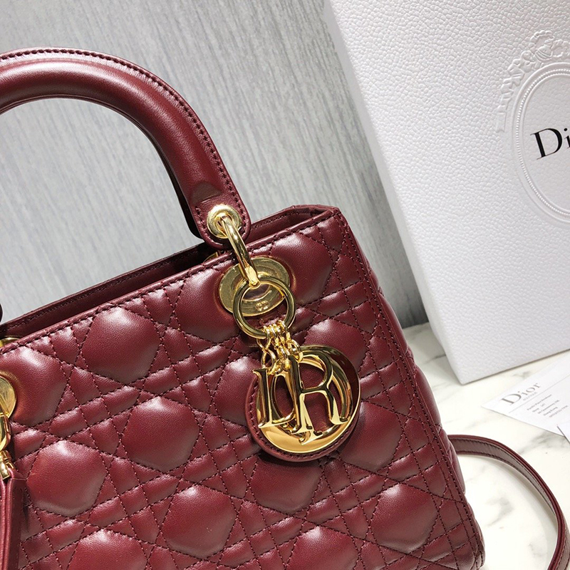 Dior The LADY D-LITE Bag