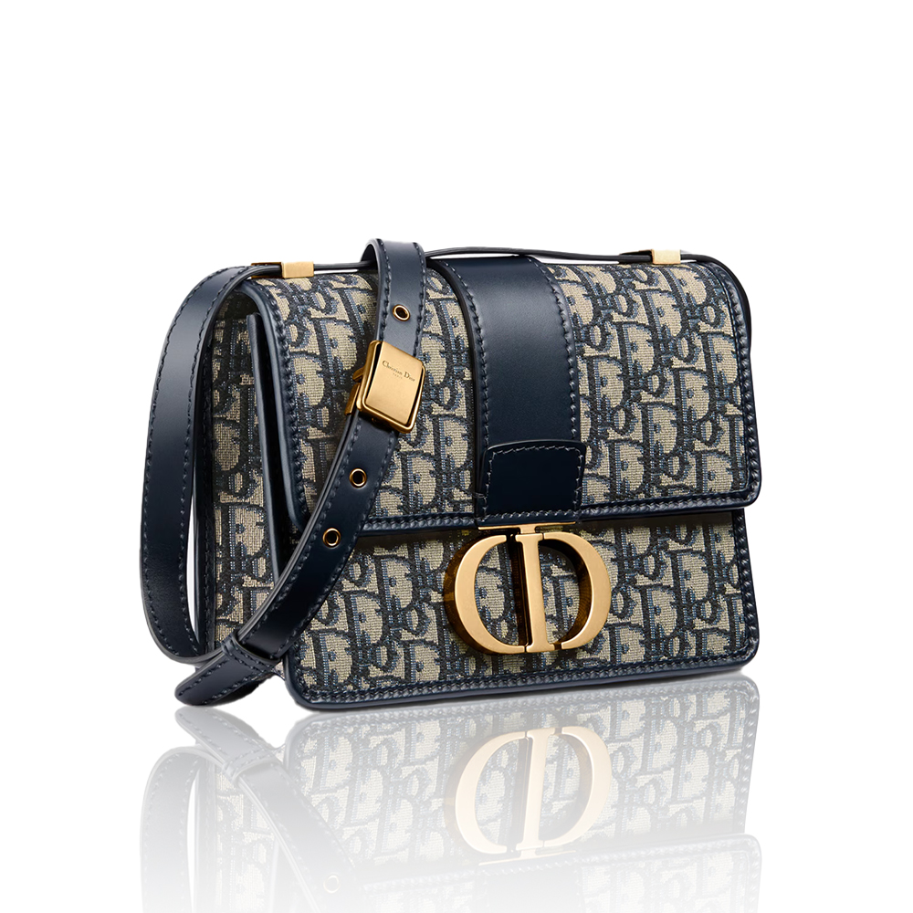 DIOR Oblique 30 Montaigne Flap Bag
