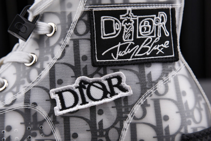 Dior B23 OBLIQUE low TOP Shoes T00853H065