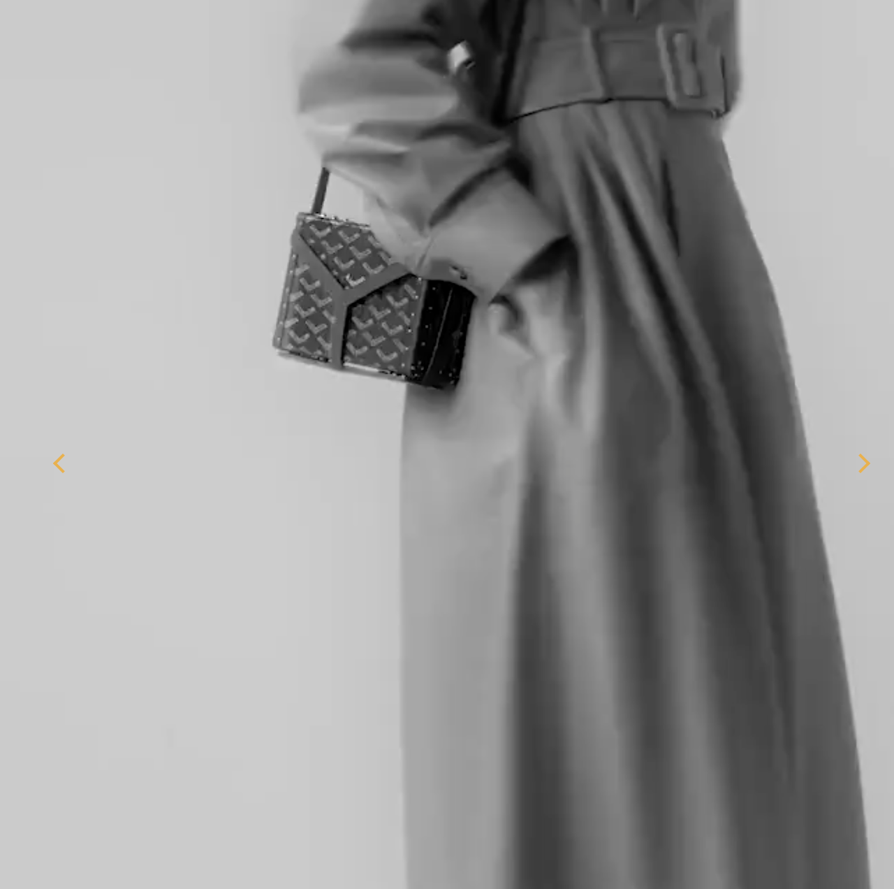 Goyard Minaudière Trunk Bag