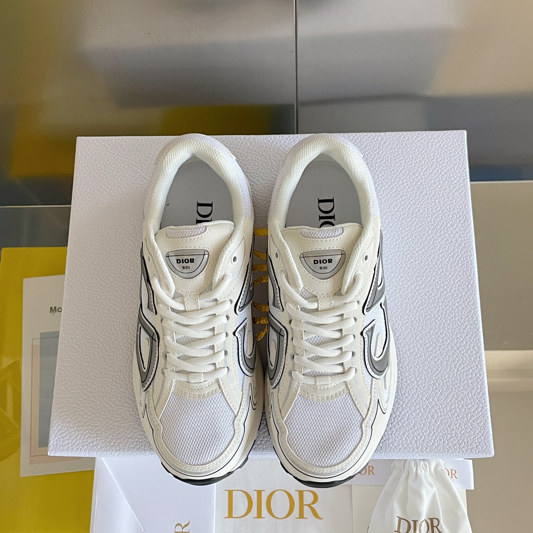 Dior B30 Dad Sneakers White