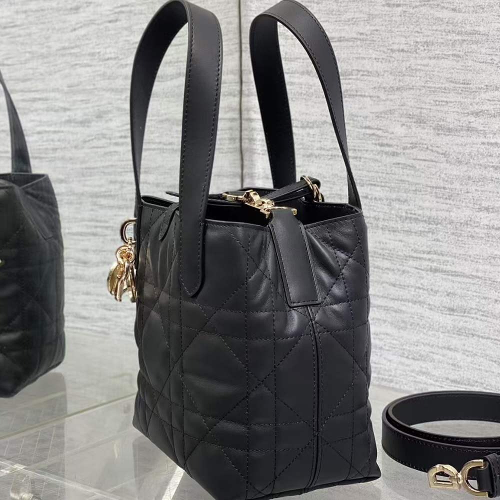 Dior Small Dior Toujours Vertical Tote Bag
