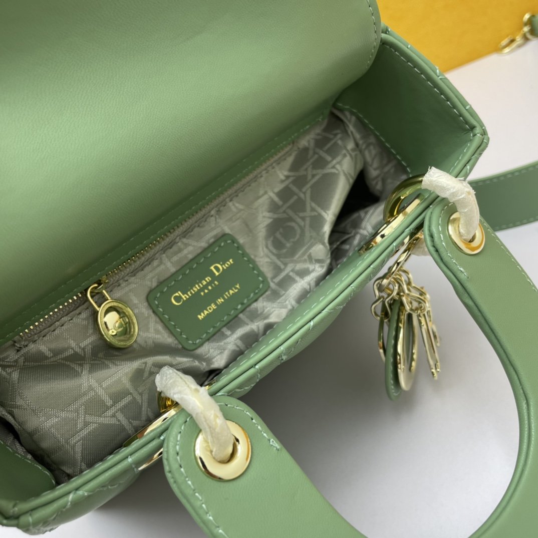 Dior The LADY D-LITE Bag