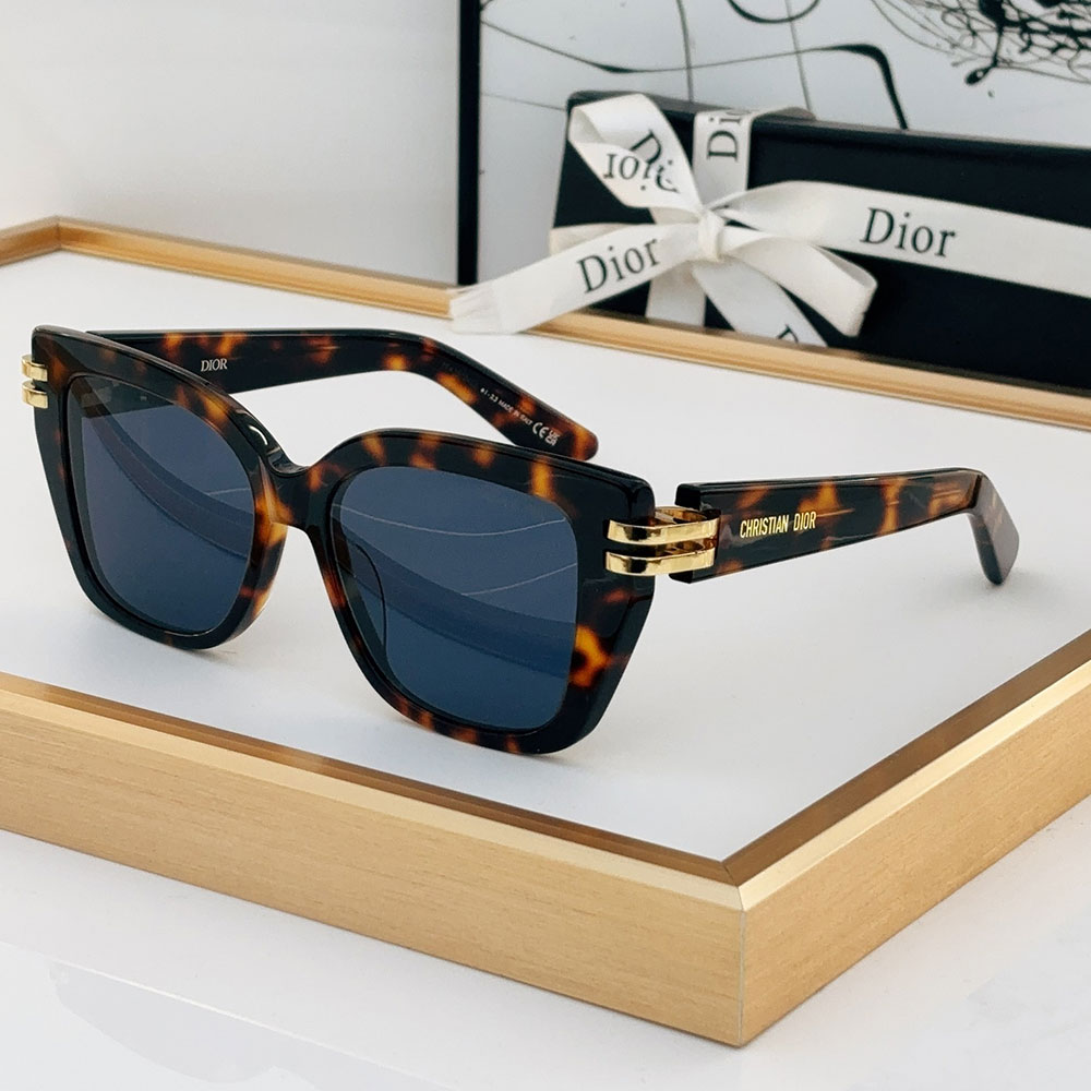 Dior Acetate Fibre Lrregular Lens sunglasses