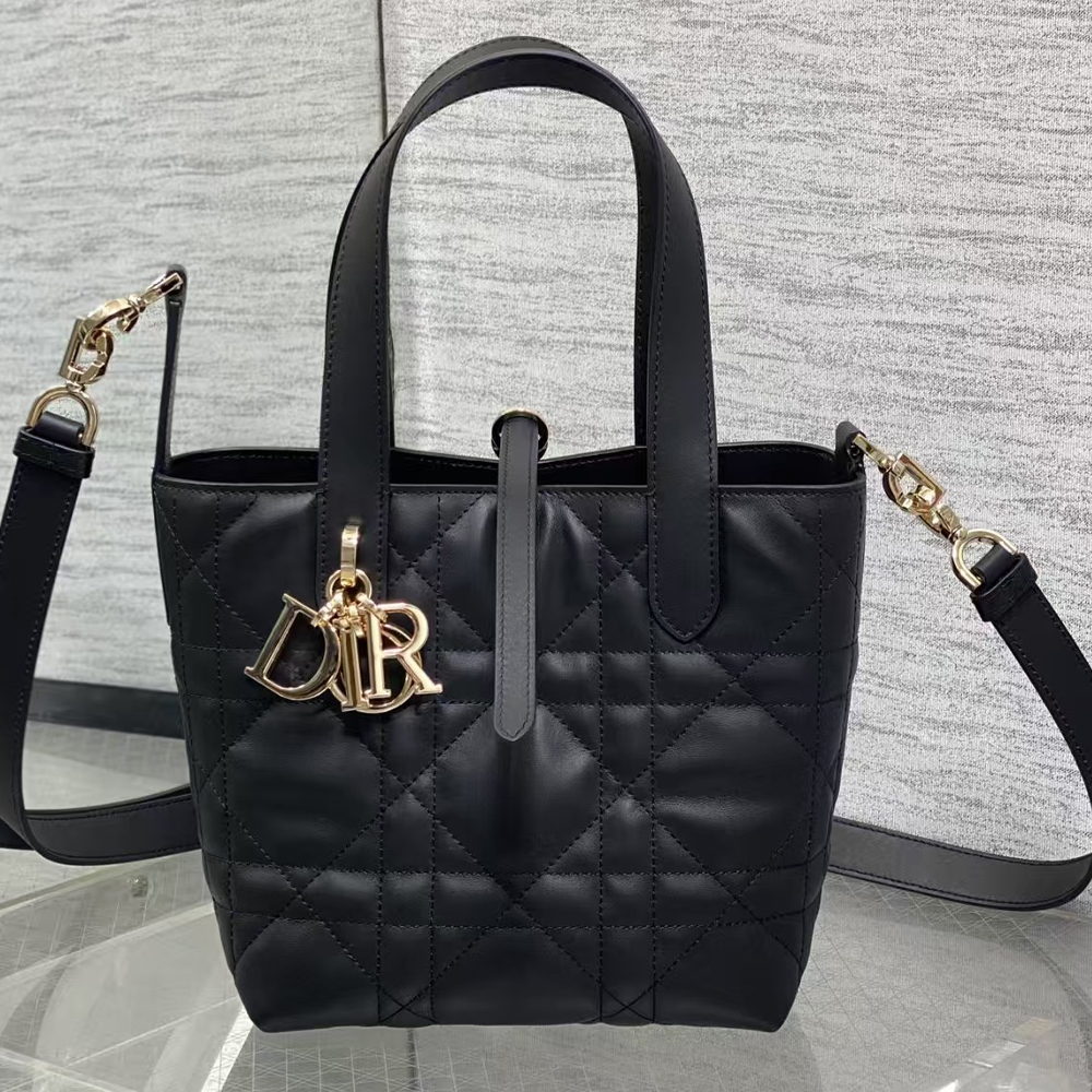 Dior Small Dior Toujours Vertical Tote Bag