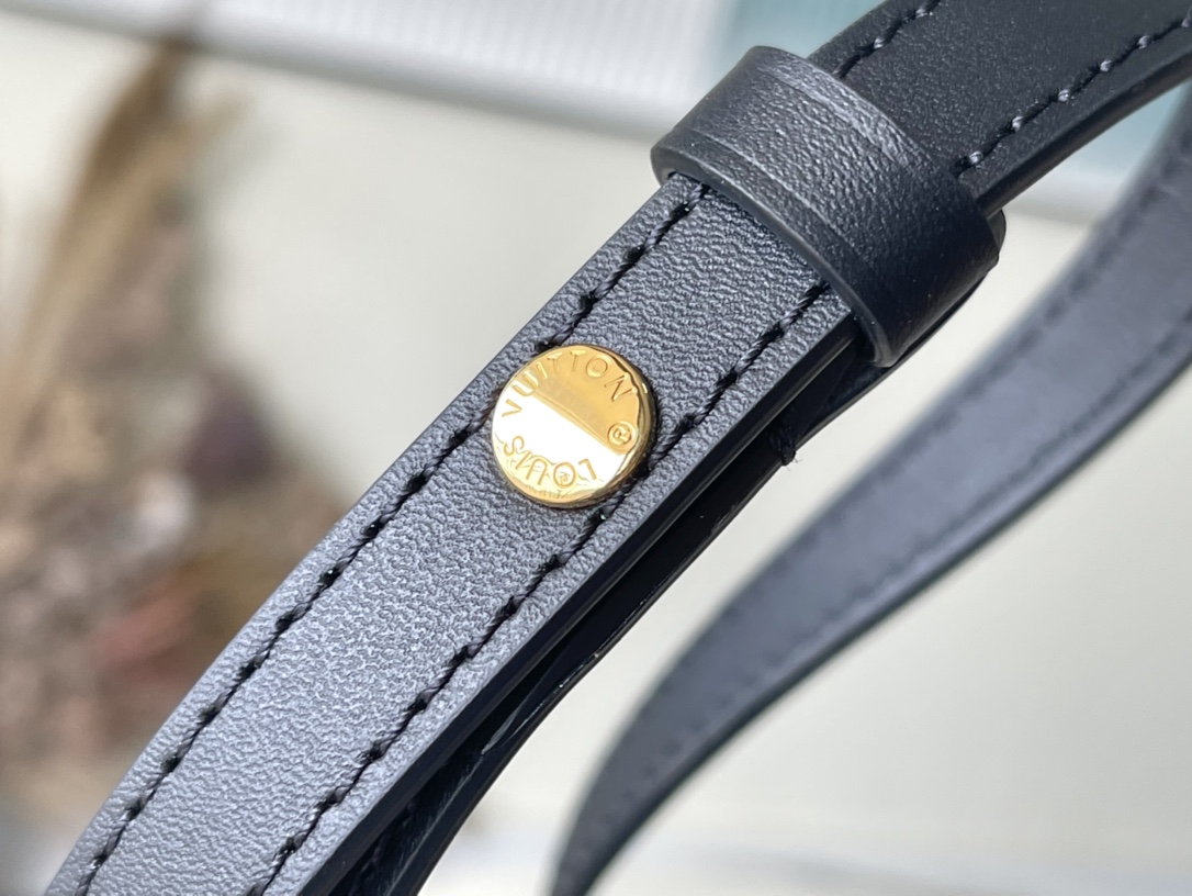 Louis Vuitton Tilsitt m46548