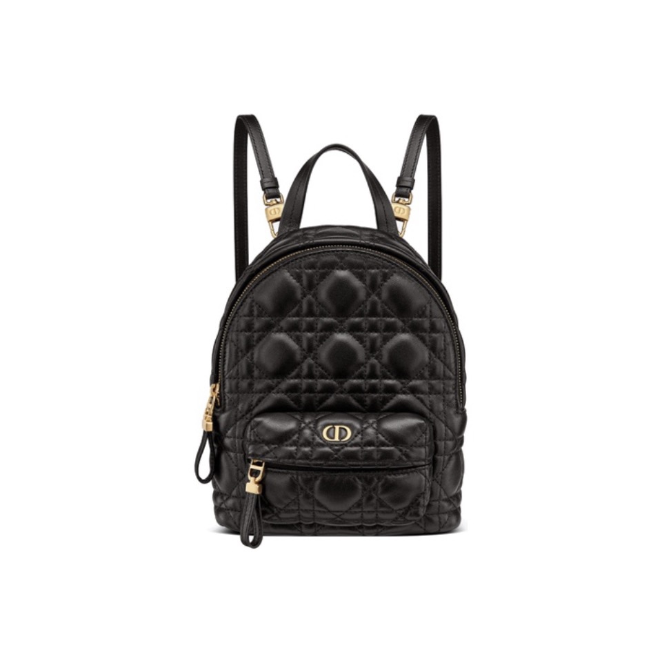DIOR shoulder bag