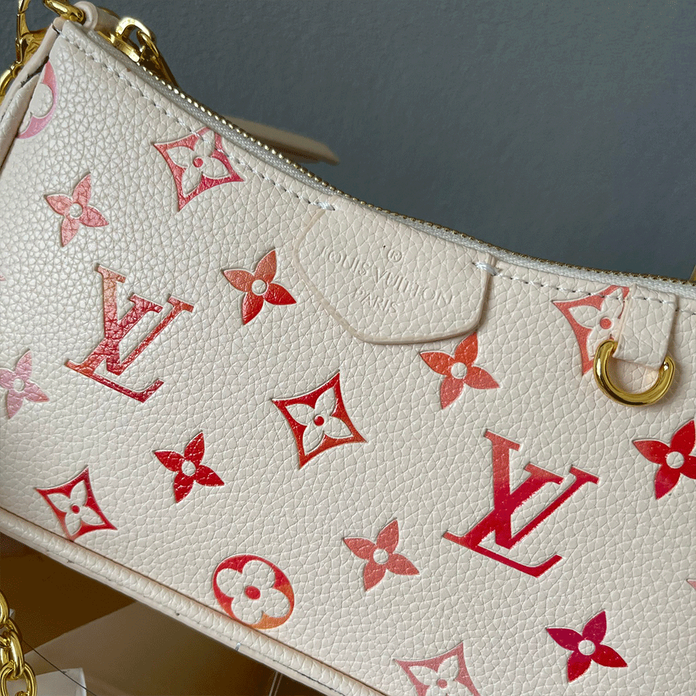 Louis Vuitton LV Easy Pouch on Strap  Bags