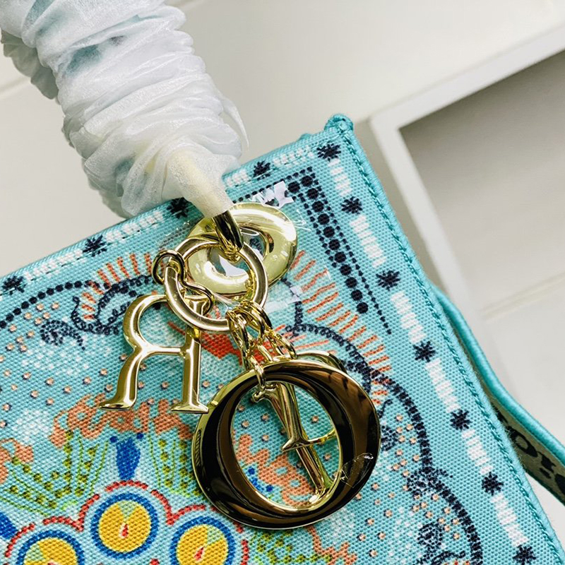 Dior The LADY D-LITE Bag